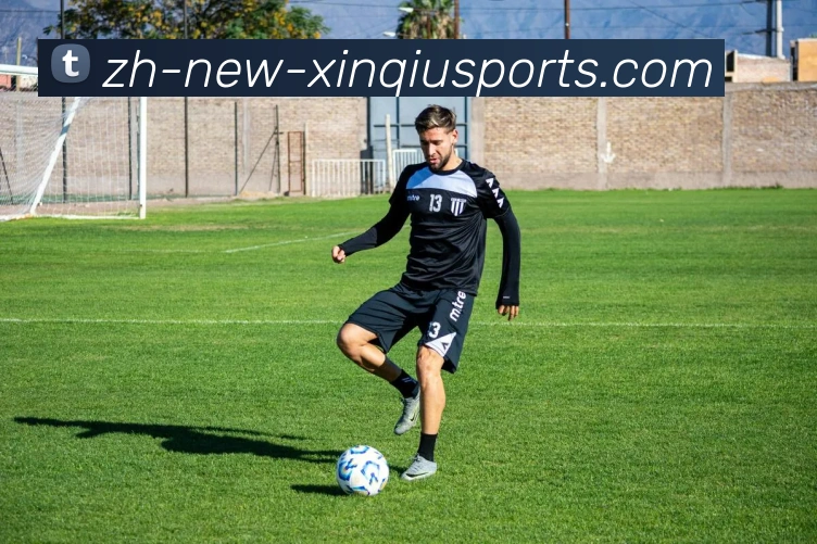 App Interface Preview